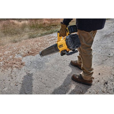 Воздуходувка аккумуляторная бесщёточная DeWALT DCMBL562P1