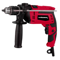 Электрическая ударная дрель HAISSER HS ID1100VМR