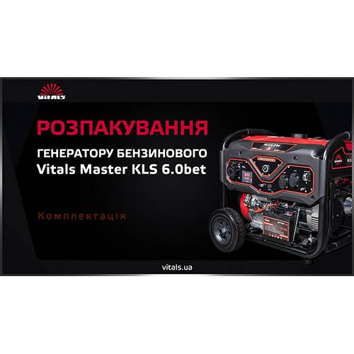 Бензогенератор Віталс Vitals 95865N