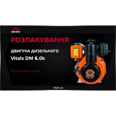 Двигун дизельний Vitals DM 6.0k